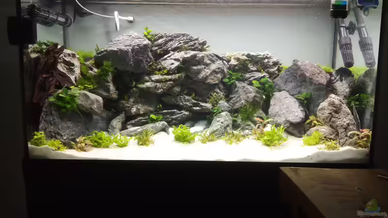 The Wall von Sese (2)