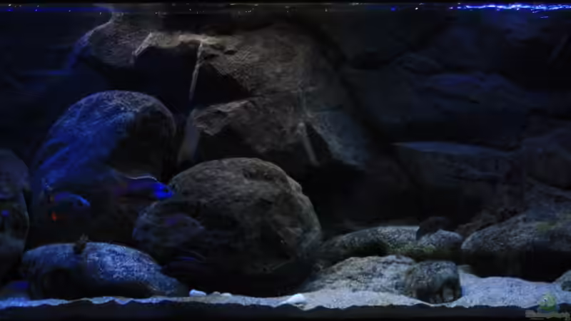 THE WORLD OF MALAWIS von Florian Bandhauer (1)