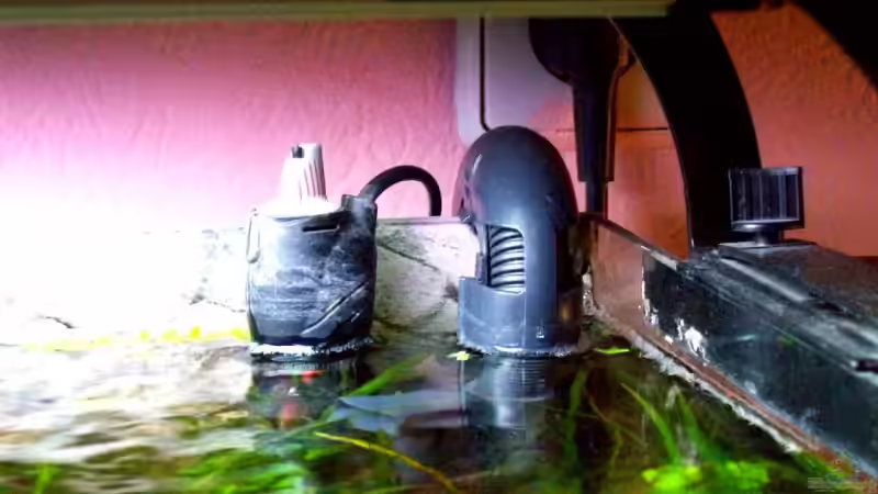 Theo Heater Stabheizer 50 Watt von Thomas Schmidt (28)