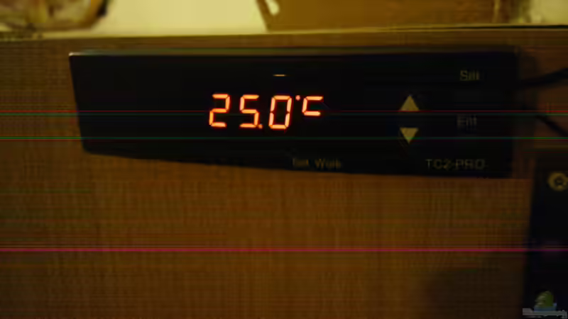 Therm0stat von LaEy (59)