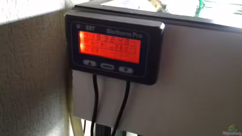 thermo control von phrankdiddie (24)