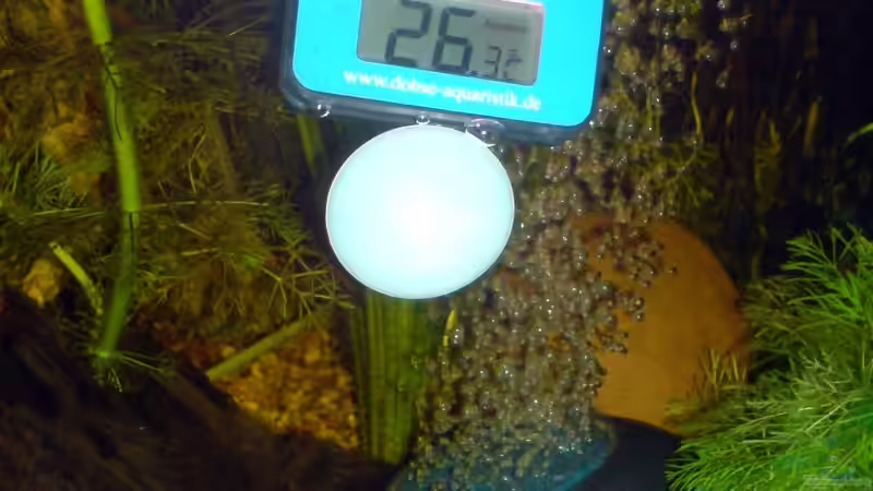 Thermometer und Aussströmerstein von Achim Dengler (25)