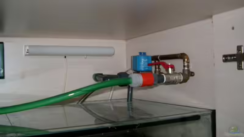 Thermometer (unterer Bereich ist im Becken) von vizekoenich (9)