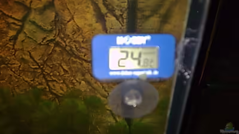 Thermometer von Bulldog1112 (21)