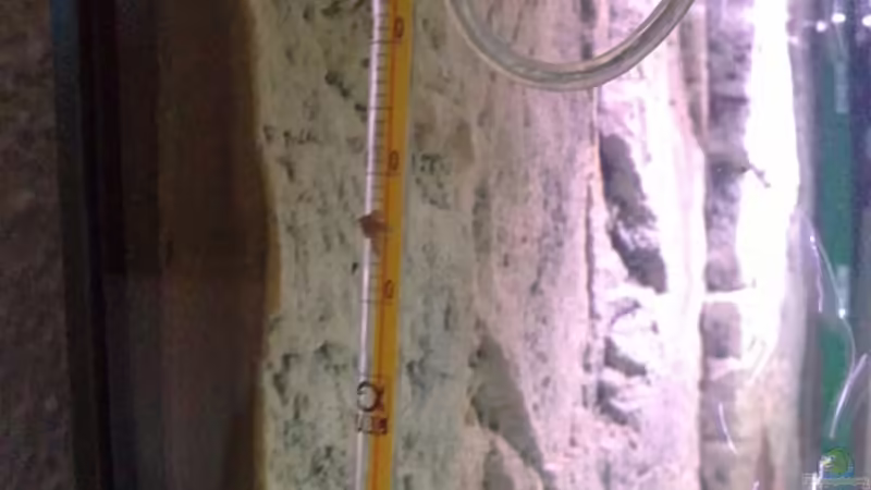 Thermometer von Capitan Hook (19)