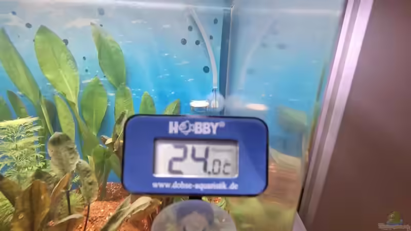 Thermometer von ernst11 (23)