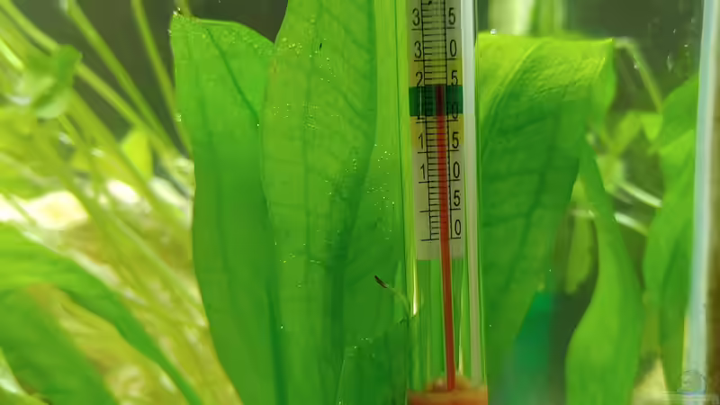 Thermometer von Juno (12)