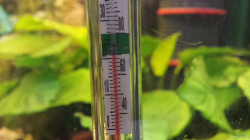 Thermometer von mamo2000 (26)
