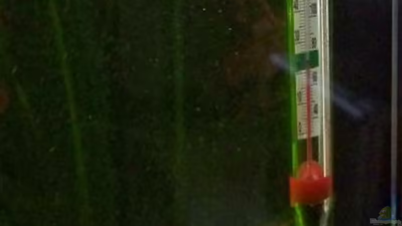 Thermometer von Peter Walenciak (28)