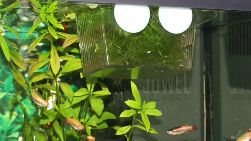 Thermostat, filter, Kulturschale von Jarno Wilens (10)