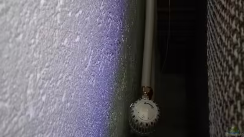 Thermostat für die Heizung von Gartenfuxx (13)