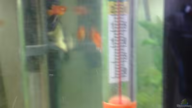 Therometer zur ??berpüfung der Temperatur von Reinhold Berk (18)