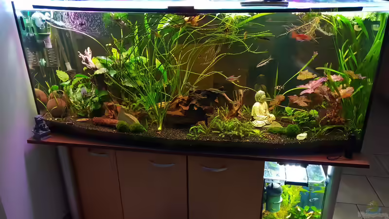 This is it (alter Unterbau) wurde schon erneuert von Manuela&Mike (9)