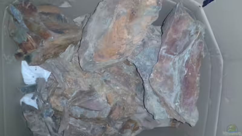 Thüringer Schiefer von FunkyTraut (10)