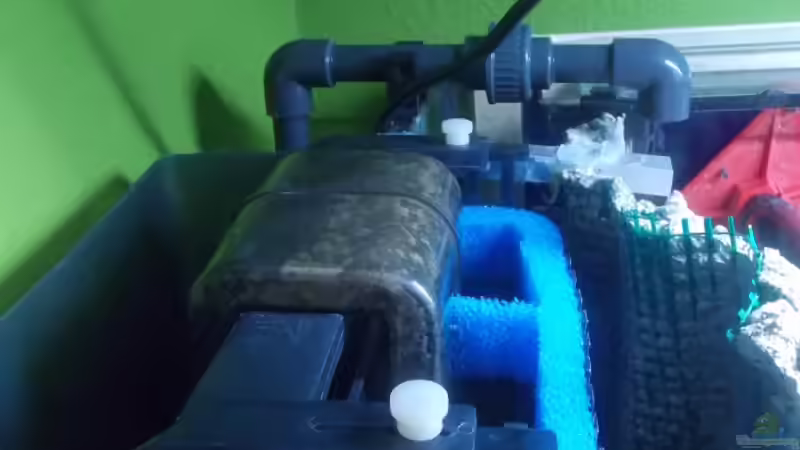 Tidepool ??berlauf von Pierre (14)