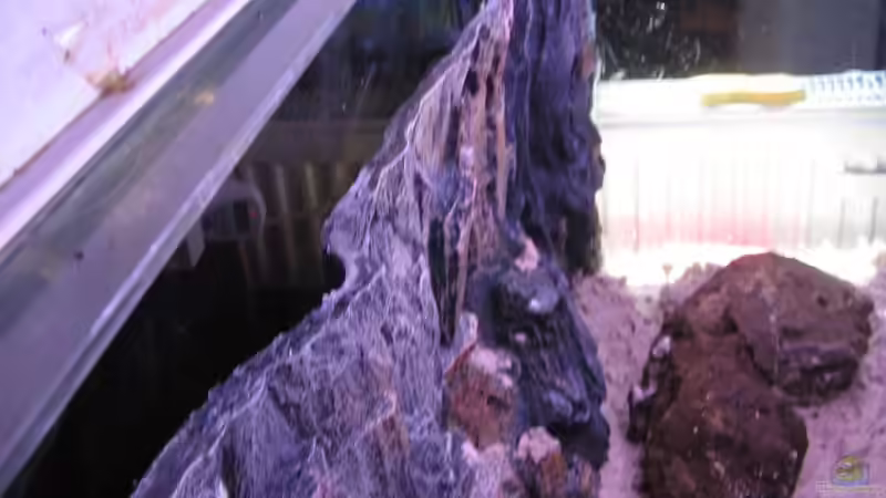 Tiefe der Rückwand von Gladbacherfohlen86 (15)