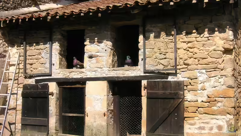 Tiere im Gartenhaus halten - Möglichkeiten, Tipps und rechtliche Grundlagen für ein harmonisches Zusammenleben im Garten