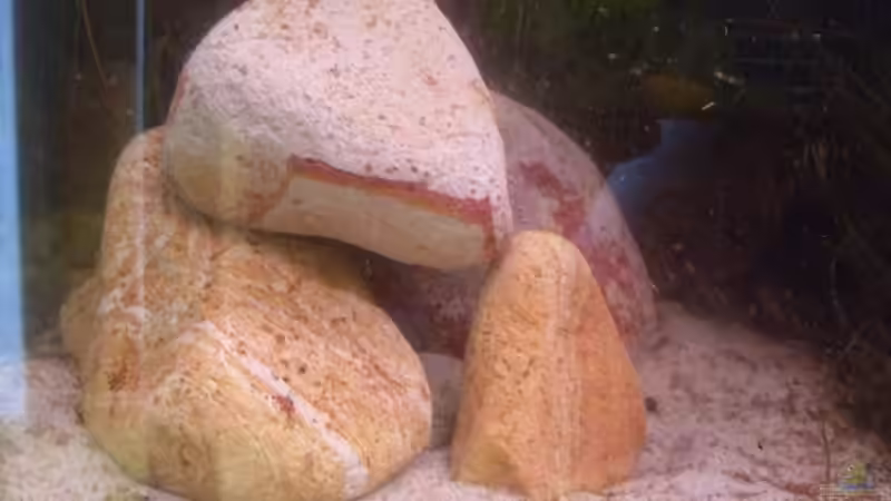 Tiger-Rock  von lichterschein (13)