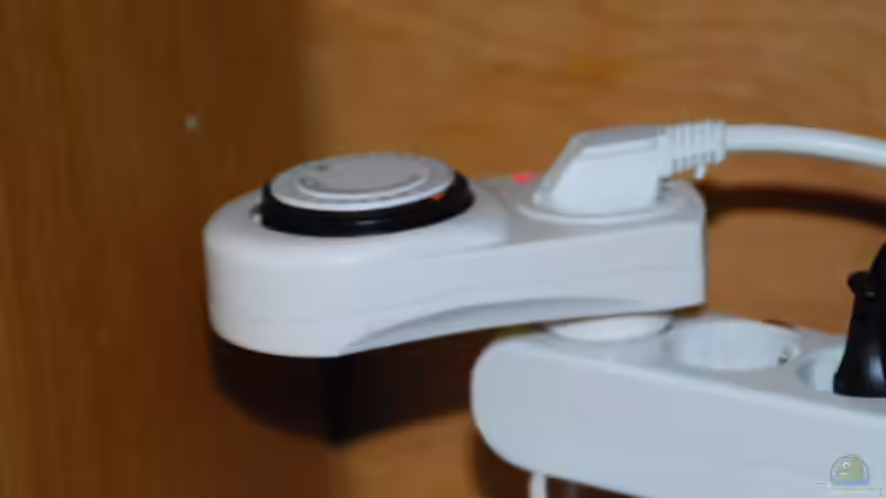 timer von lomarraco (41)