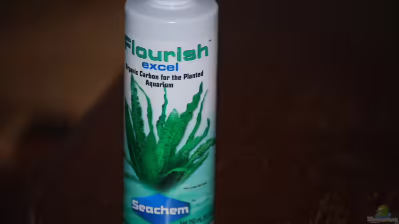 to win the war with algae von lomarraco (51)