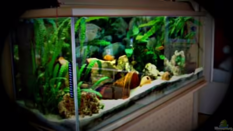 toll nur einer zu sehen von Rainer Brohmann (2)