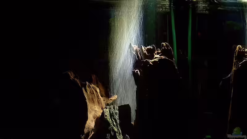 Toller Effekt. Eine weisse LED mit einem Sprudelstein von Daniel Nimmervoll (5)