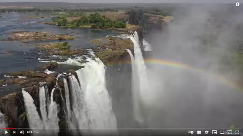 Tolles Video zur Malawi-Aquaristik