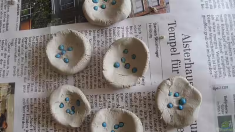 Ton + NPK Dünger von julian2010 (6)