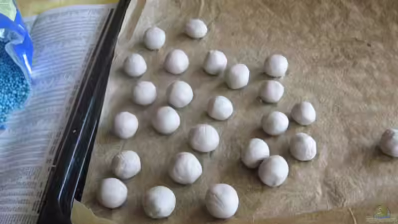 Ton + NPK Dünger zu Bodendüngerkugeln geformt ;) von julian2010 (7)