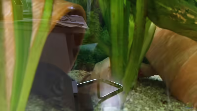 Ton Töpfe in verschiedenen Größen als Höhle  von Tanja Tilsner (3)