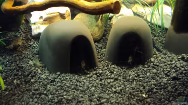 Tonhäuser, bezugsfertig ;) von Fabian Kühn (9)