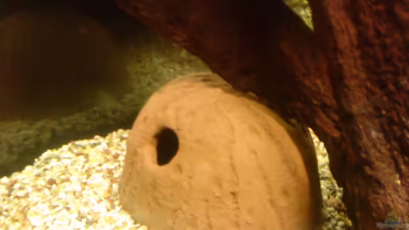 Tonhöhle von Marcus Roth (18)