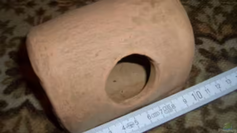 Tonhöle (Modell; 1 ??ffnung, 7,50???) von Tobias Ziemzek (13)