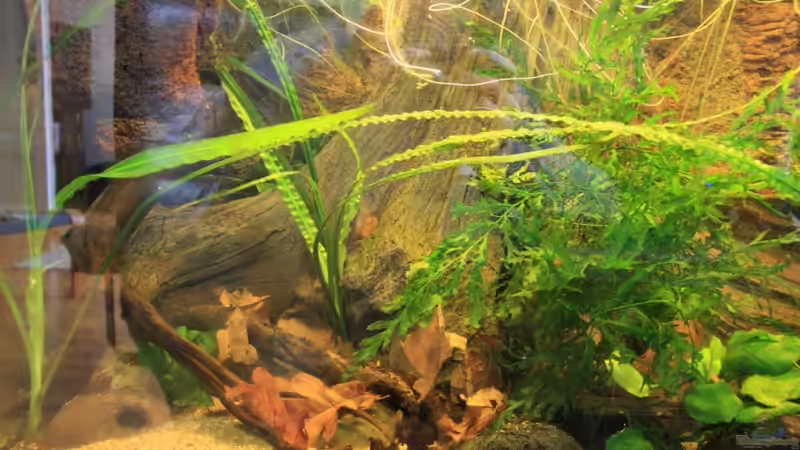 Tonhöle von Tosche (8)