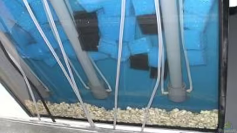 Tonröhrchen hinter der Filtermatte 7cm hoch und 75 cm Tiefe von daniel5 (6)