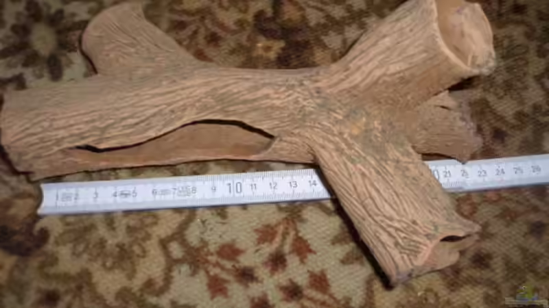 Tonröhre (Modell; weit verzweigter Ast, 10???) von Tobias Ziemzek (11)