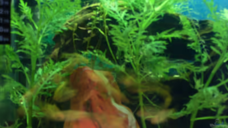 too fast... von Stefano83 (44)