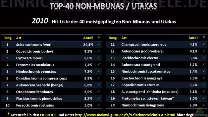 TOP-MALAWIS auf Einrichtungsbeispiele.de