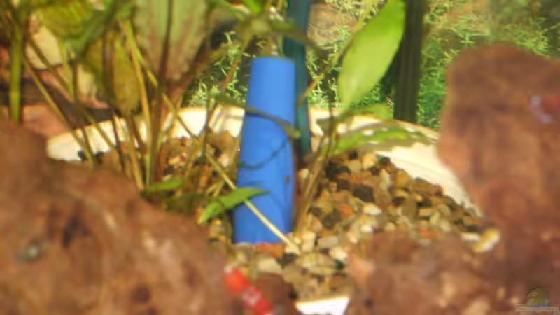 Topffilter (Eigenbau) von Matthias Söldner (3)