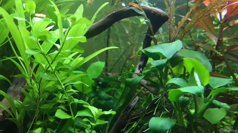 Torbogen von Christian Bernreiter (16)