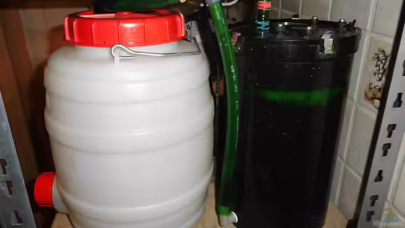 Torf-Filtration im Aquarium: Funktion und Auswirkungen