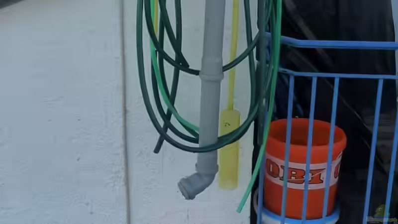 Torfbombe von *Dominique* (18)