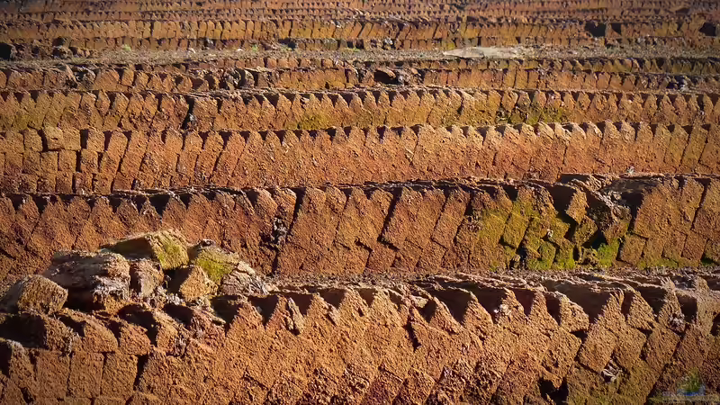 Torfersatz im Garten: Nachhaltige Alternativen für gesunde Böden und eine grüne Zukunft