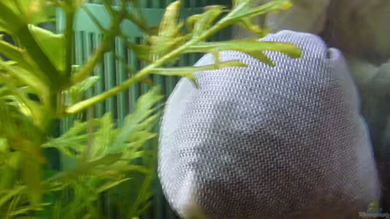 Torfsack zur pH senkung von Marcel Becker (4)