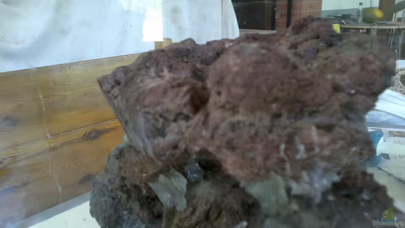 Tot i que la imatge no es gaire bona, les pedres han estat tallades amb disco per la part interior per un millor encaix, amb el virdre de manera que retinguin el substracte von lomarraco (78)