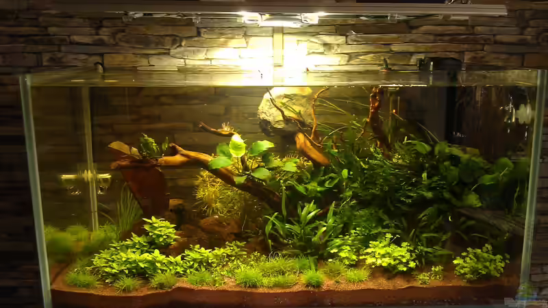 Total nach 12 Tagen von El Hein (17)