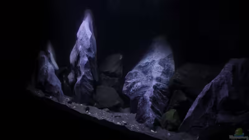 Total schräg von Jürgen Hubral (20)