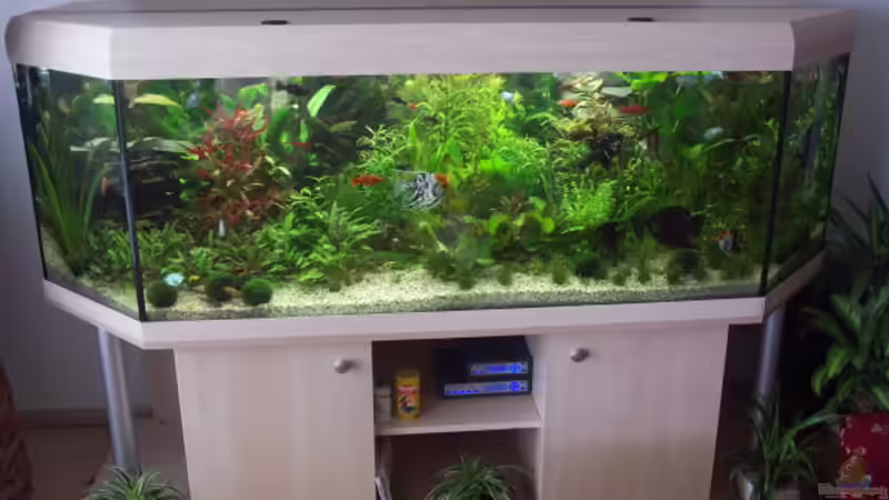 Total von Kai Holdinghausen (3)