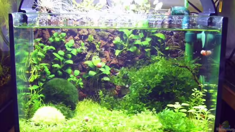 Totalansicht von Astrid Stahn (1)