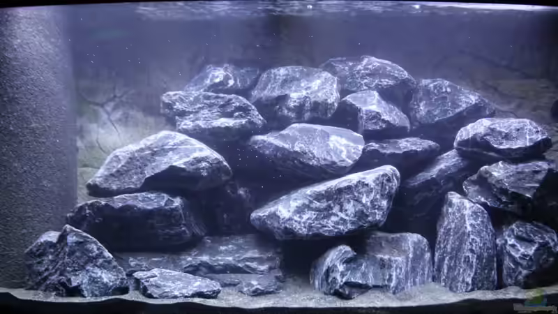 Totale - leer von MHu (2)